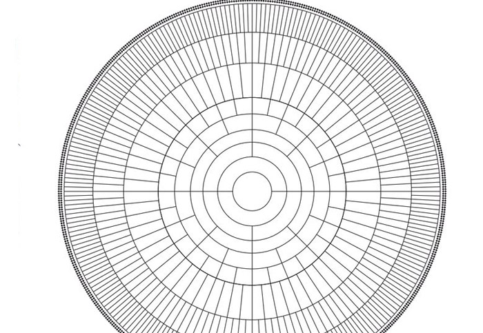 Family Tree – – Ancestor Name – Ancestral Influences – Shift To The Real